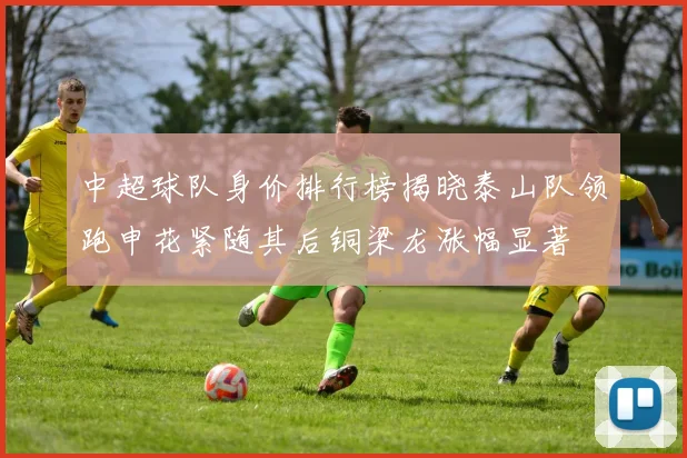 中超球队身价排行榜揭晓泰山队领跑申花紧随其后铜梁龙涨幅显著